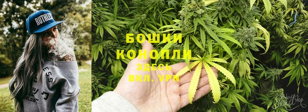 наркотики Бородино