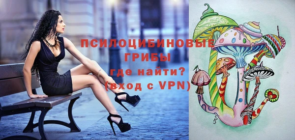 наркотики Бородино