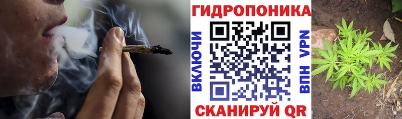 Купить где  Вилючинск  Каннабис OG Kush 